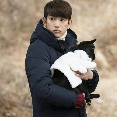 got7 jinyoung goat 5 Korean Male Celebrities Competing In Cuteness With Adorable Pets