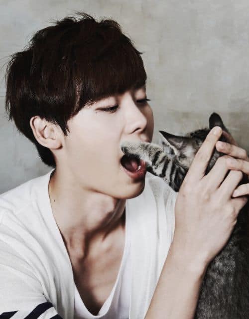 lee jongsuk pets 5 Korean Male Celebrities Competing In Cuteness With Adorable Pets